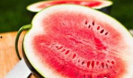 今日吃瓜每日必吃,每日必吃，揭秘娱乐圈新鲜事